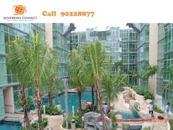 Malvern Springs (D15), Condominium #110231092